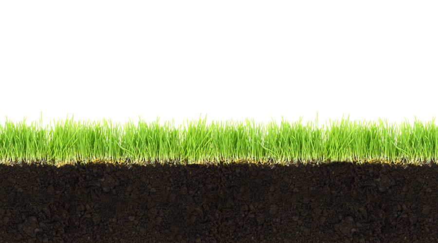 Cross-section of soil and grass isolated on white background